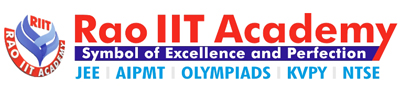 Rao IIT Academy